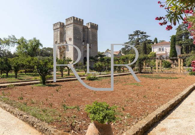 Villa à Cannes - Villa Marguerite Villa à Cannes - Villa Marguerite