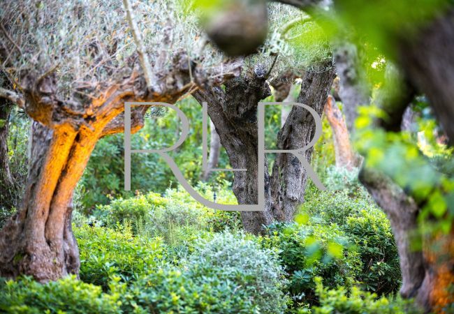 Villa à Saint-Tropez - Villa Calypso Villa à Saint-Tropez - Villa Calypso