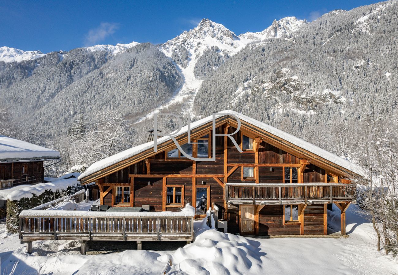 Chalet Amelie 