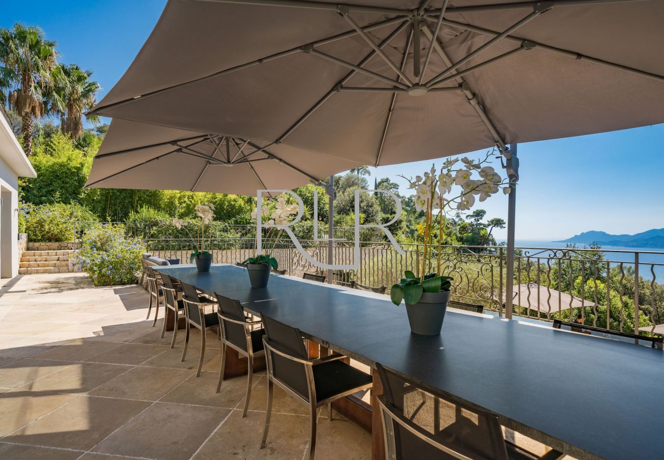 Villa à Cannes - Villa Phoenix