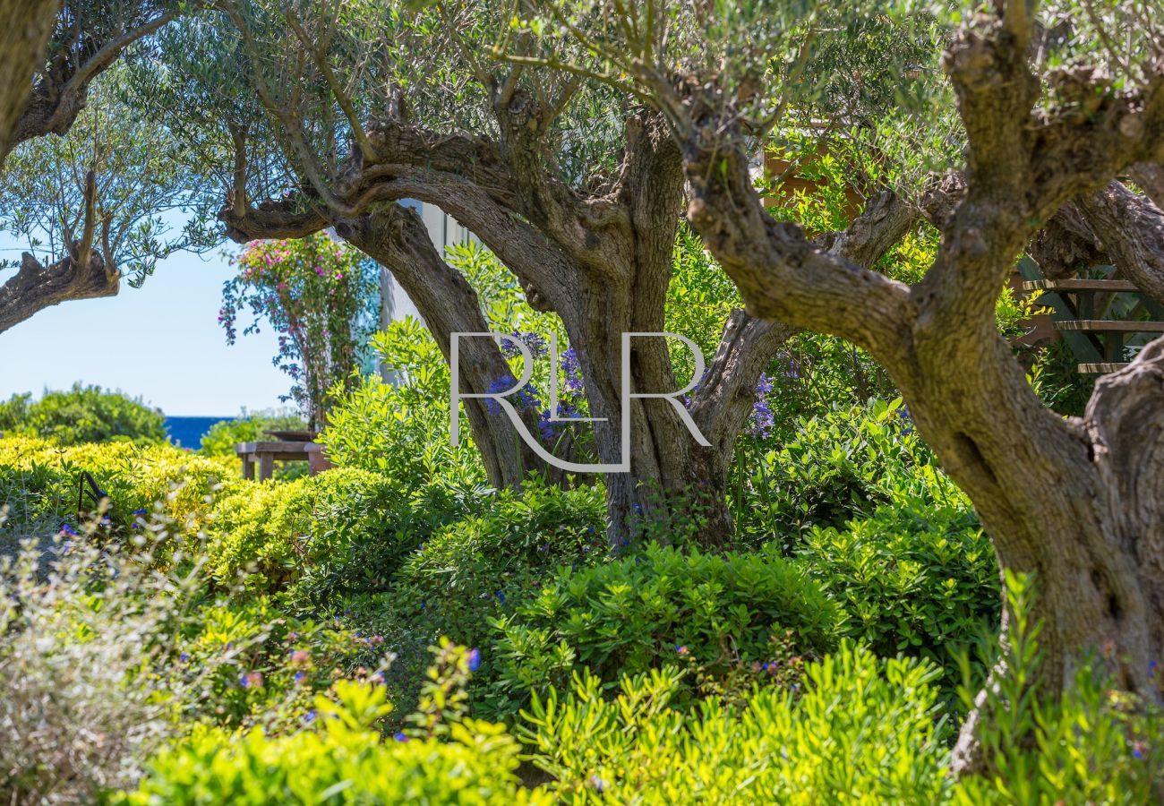 Villa à Saint-Tropez - Villa Calypso