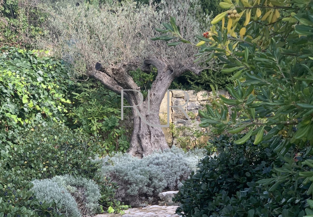 Villa à Châteauneuf-Grasse - Villa Tamara