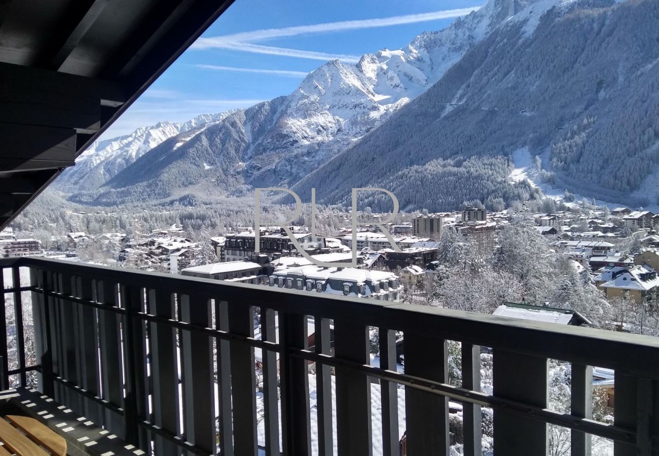 Brevent 1 ha a beautiful, panoramic view and is situated 220m from Brevent lift station   